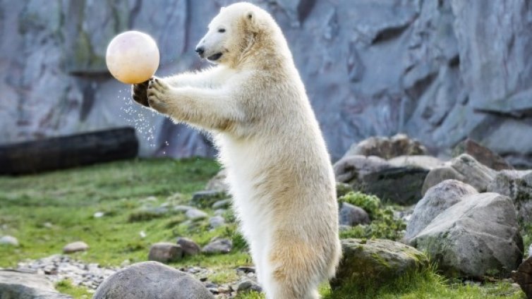 Денят в снимки &ndash; 4 декември