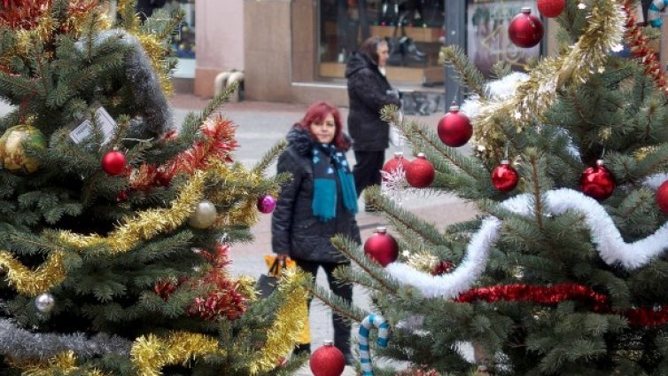Вятърът утре ще е северен, понижава температурите 