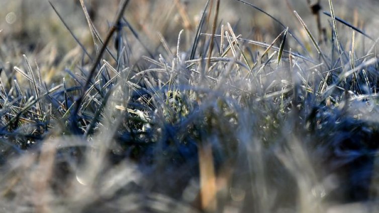 Слънчево и без валежи утре. Температурите до 8&deg;C