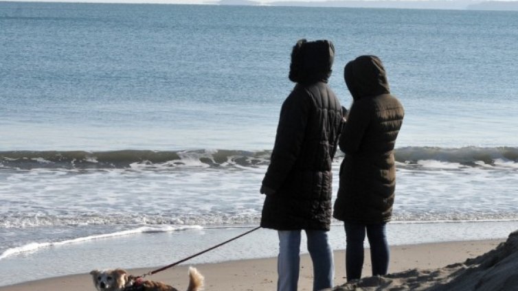 Четвъртъкът идва с топло и слънчево временно