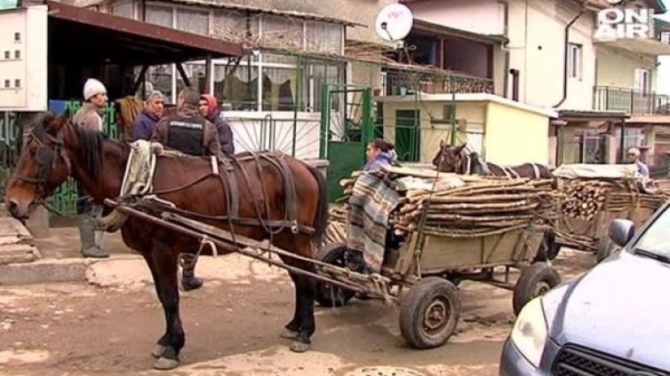 Ромски набези: Над 15 акта за незаконна сеч в Странджа