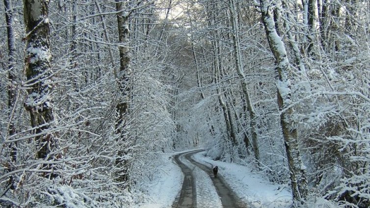 Понеделник – валежи от сняг, във вторник сутринта -17°C