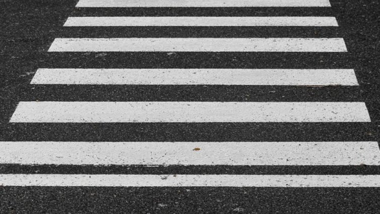 11-годишен шампион по фехтовка блъснат на "зебра"