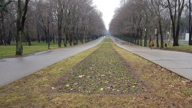 Времето днес: Облачно, мъгливо, но и слънце след обяд