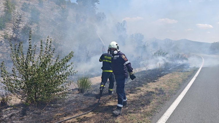 Гори на няколко места по Подбалканския път, подозират умишлен палеж
