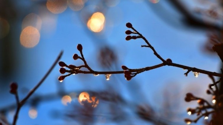 Вторникът &ndash; студен и ветровит! След това се затопля