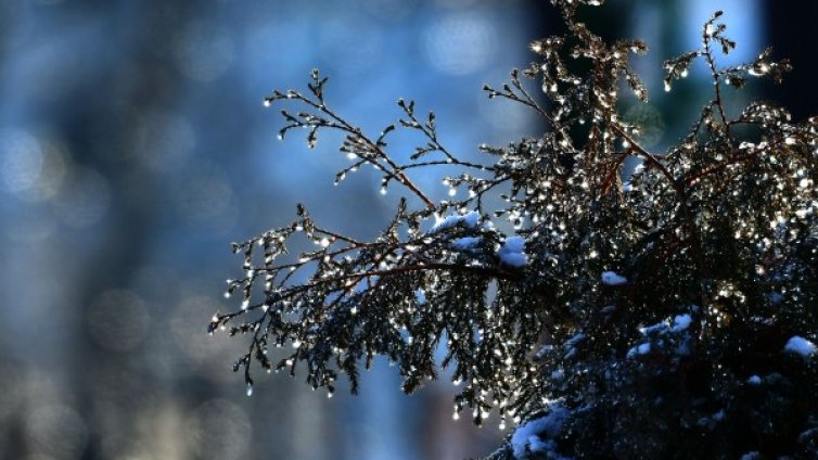 Силният вятър остава, времето обаче се затопля