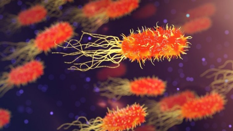 При 1 от 3500 болни от грип &ndash; фатални усложнения