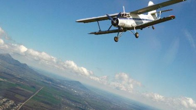 От самолети ще ваксинират дивите животни срещу бяс