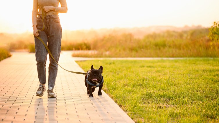 Хороскоп за седмицата – какво да очаква всяка зодия