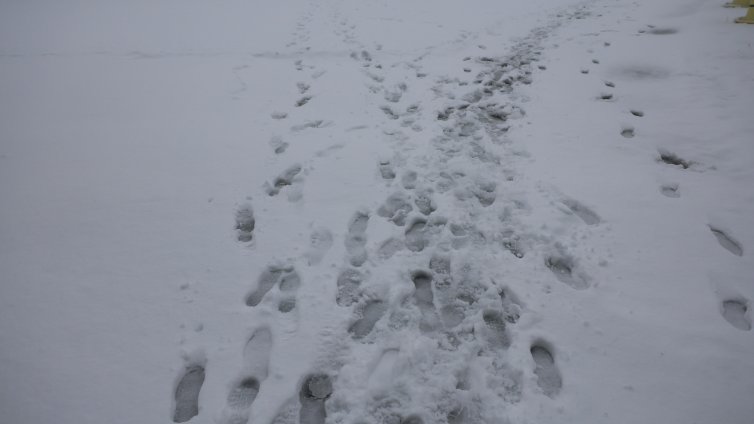 Издирват млад мъж, изгубил се на Витоша