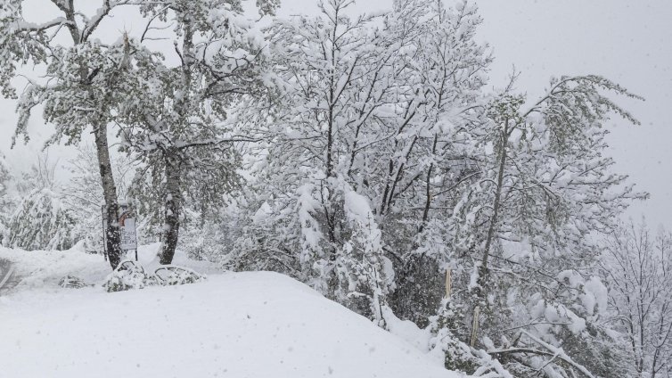 Петима чуждестранни туристи загинаха при снежна буря в Чили