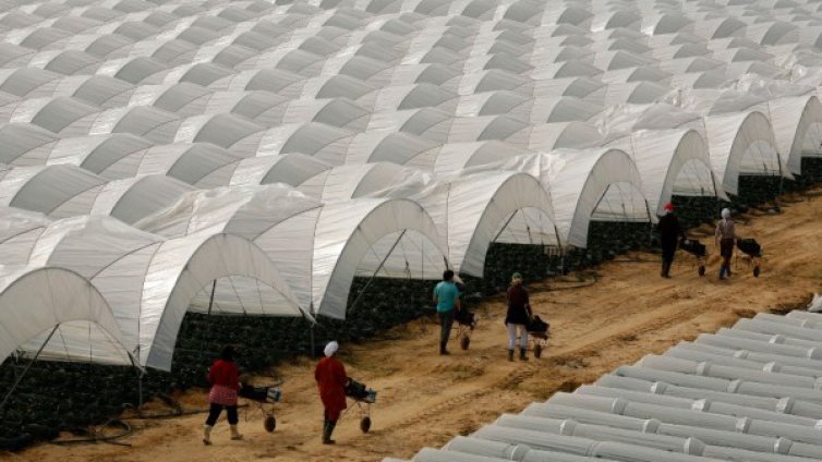 Българин на Острова: Британците &ndash; мързеливи, ние сме по-трудолюбиви!
