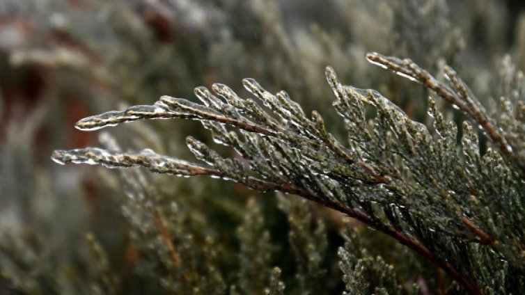 Облачно с валежи. На места &ndash; опасност от поледици