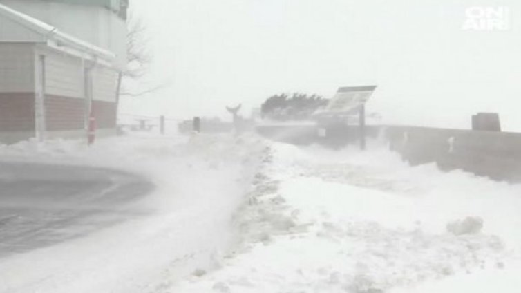 Арктическият супер студ взе жертви в САЩ 