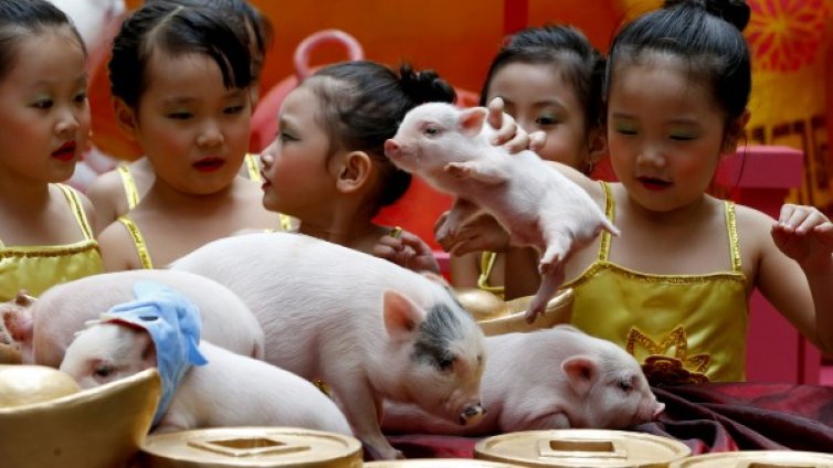 Денят в снимки - 1 февруари