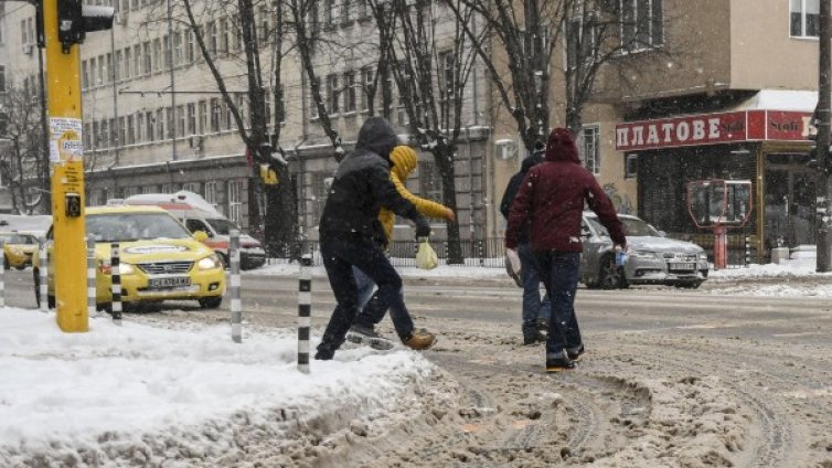 Само през януари - 13 загинали пешеходци
