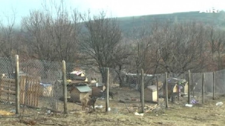 Жители на село Еремия скочиха срещу незаконен кучкарник