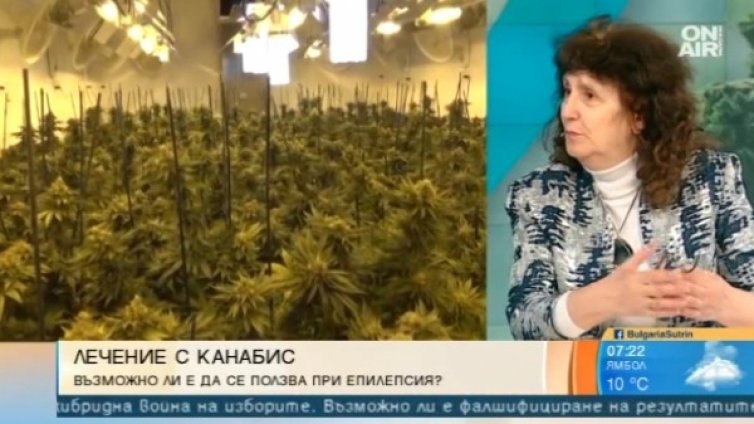 Канабис в медицината срещу епилепсия – възможно ли е това у нас?