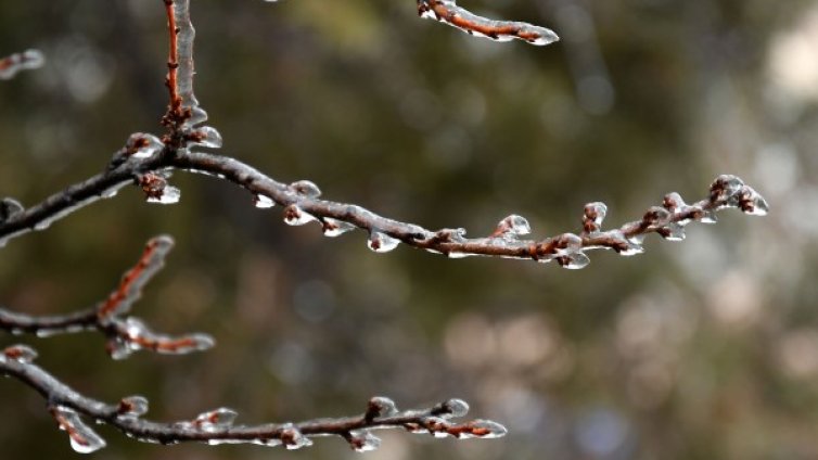 Времето утре: Сутринта ще е слънчево, след обяд - облачно 