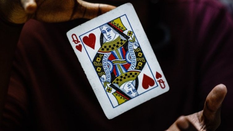 Любопитно за годината на Жълтата Земна Свиня: Глиган (Свиня)