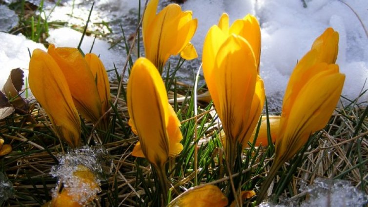 Капризният по женски март ни носи сняг и слънце, от -3&deg;C  до 25&deg;C