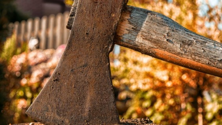 Мъж бере душа, скочил му непълнолетен с брадва