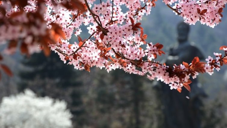 Време за разходка: Неделята &ndash; слънчева и топла