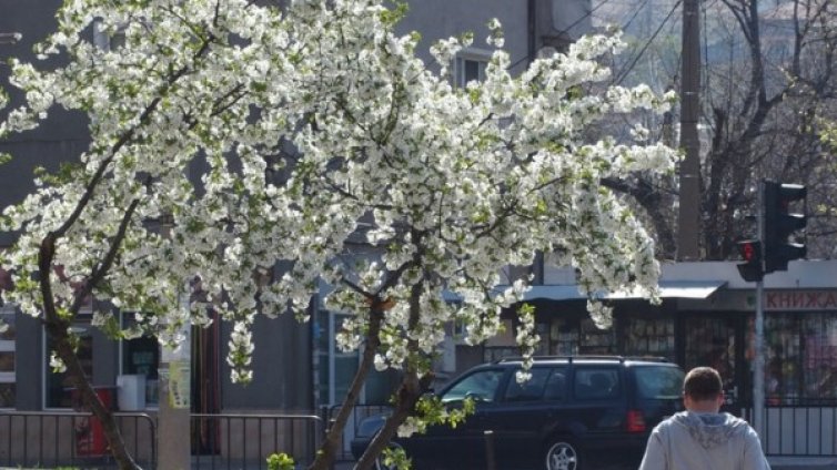 Седмицата започва със слънце, от вторник &ndash; дъжд и захлаждане