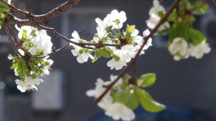 От утре &ndash; застудяване, на места ще вали и дъжд