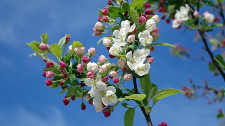 Зодиите, които ги чака страхотен месец април