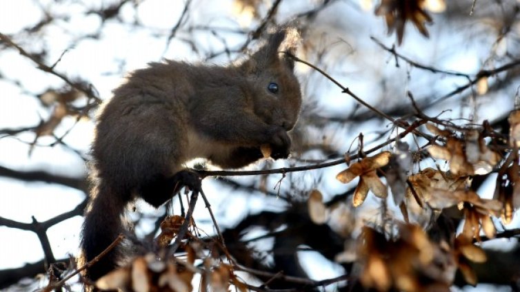 И април, непредвидим като март: От -2, до 29 градуса