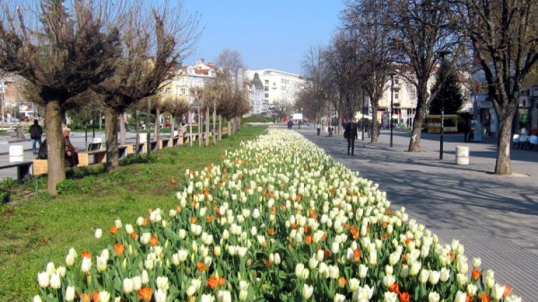 Слънчево и топло и в сряда, градусите &ndash; до 18