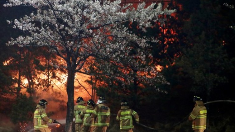 Горски пожари заплашват 5 града в Южна Корея