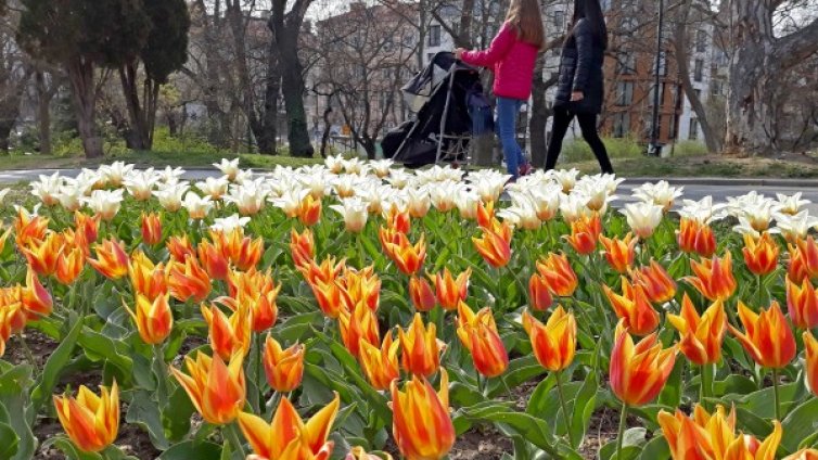 Утре ще е облачно, ще превали в югозападните райони