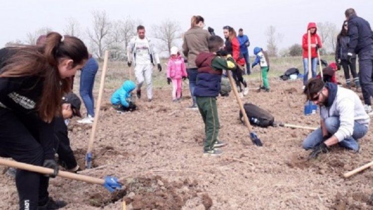 Зелен филтър за София, вместо пустеещи земи 120 000 дървета