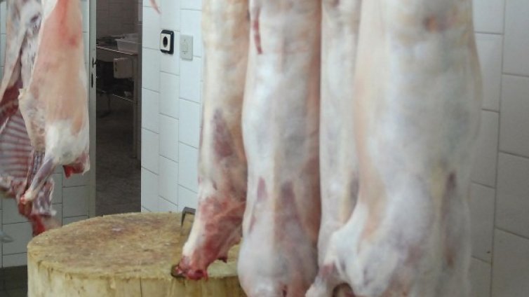 Преди Великден: 80 т агнешко от Македония на пазара ни