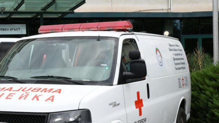 Жена е с опасност за живота, дърво е паднало върху колата й