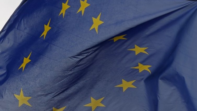 Българите в Германия гласуват за ЕП за първи път в 21 града