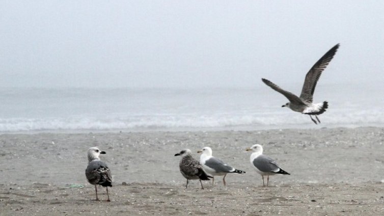 След лошото време градусите тръгват нагоре