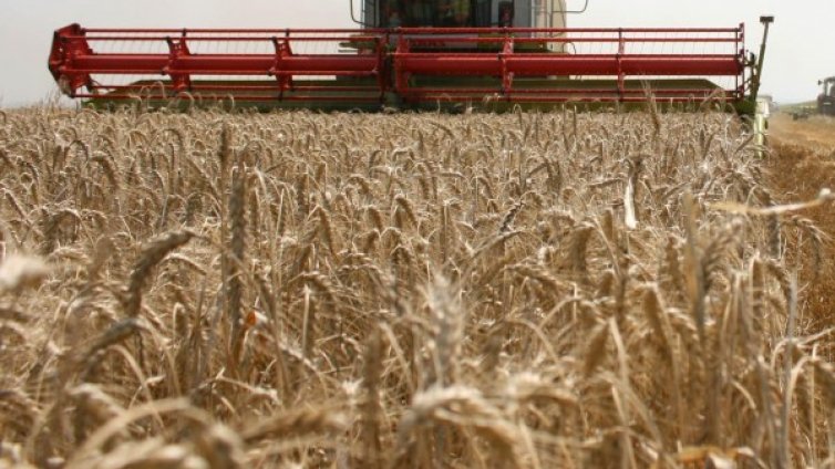 Биоземеделието ще има свой заместник-министър