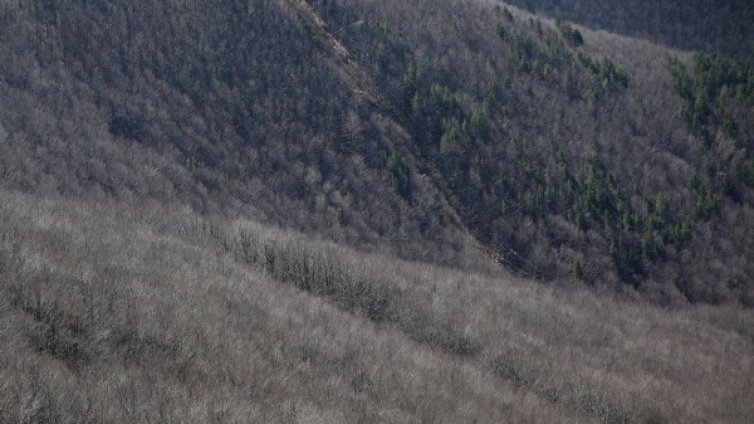 България финансира обновяването на костница край Цариброд