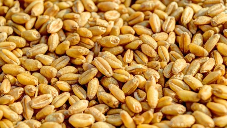 Какви са най-големите предизвикателства пред аграрния сектор у нас