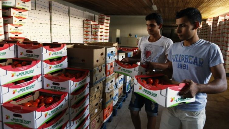 В Румъния ДДС за земеделските продукти става 5%