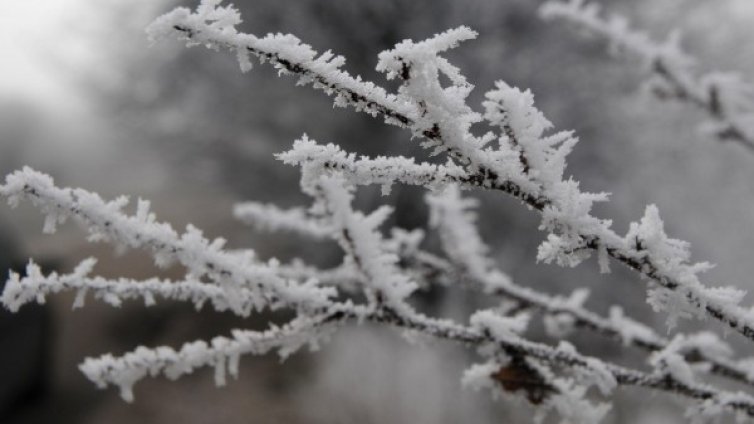 Награждават 15 военни за спасителна помощ през зимата