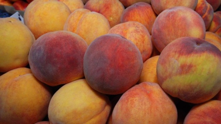 За втора година: В Сливенско очакват по-слаба реколта от праскови