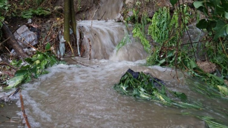 Дъждът нанесъл големи щети в резервата Старо Стефаново