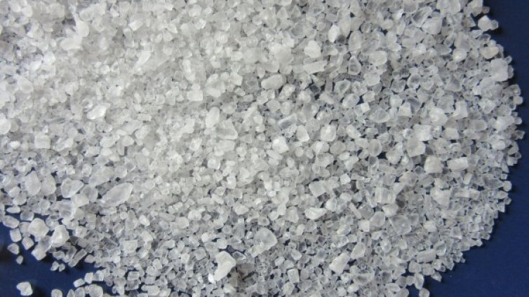 Над 13 000 проверки на БАБХ през май, унищожени - близо 30 т храни