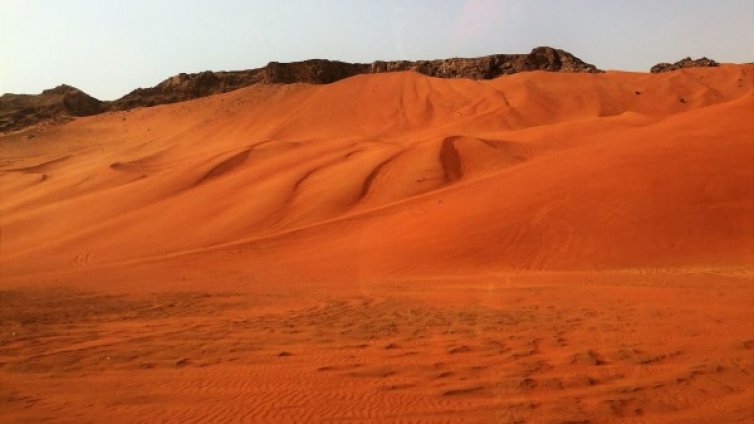 До края на века: Всяко следващо лято ще е по-горещо 