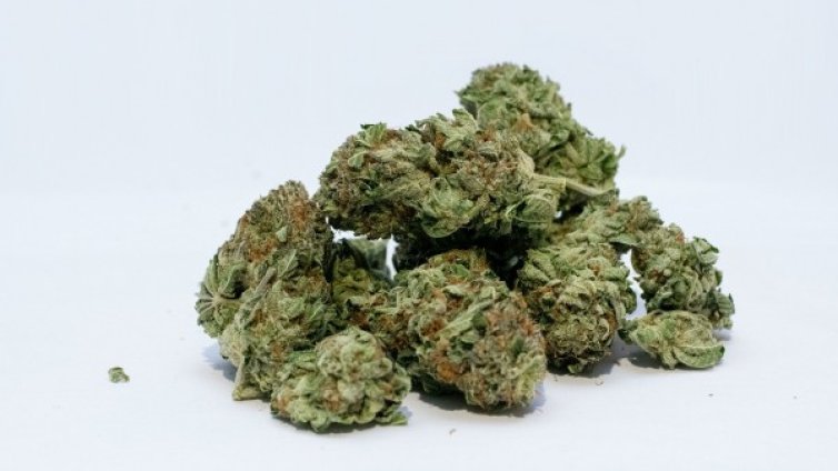 "Весел" фестивал &ndash; полицията хвана 4 души с трева в Благоевград 